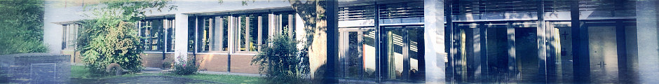 matt-3